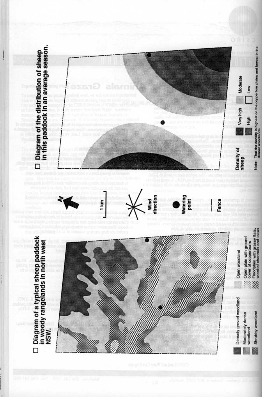 1995 Page 085